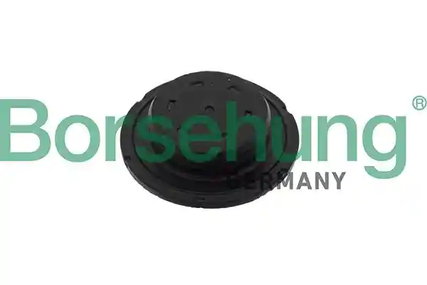 Borsehung B10644