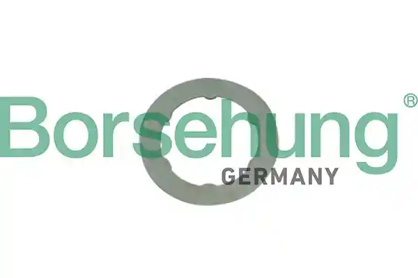 Borsehung B10649