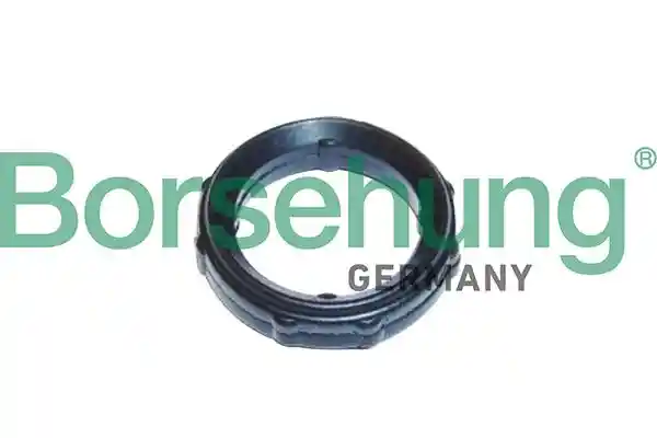 Borsehung B10651