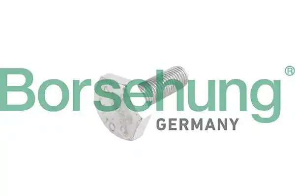 Borsehung B10653