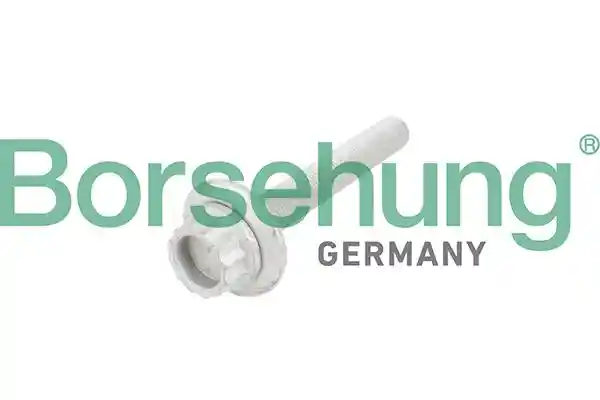 Borsehung B10654