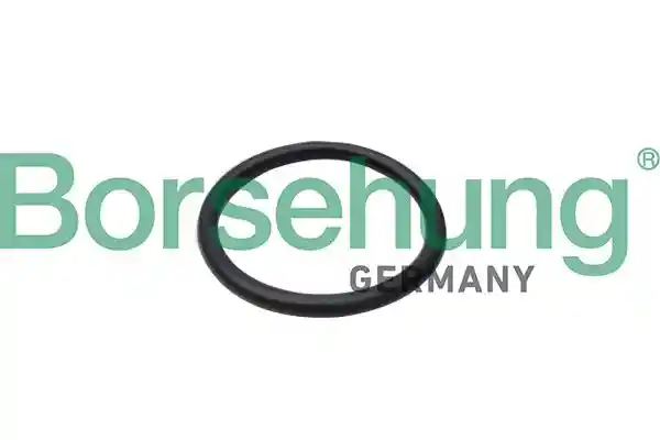 Borsehung B10655