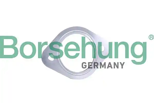 Borsehung B10656
