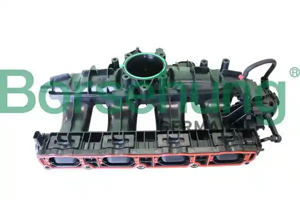 Borsehung B10661