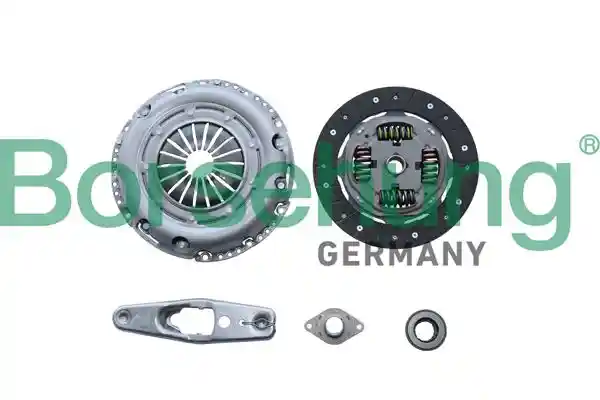 Borsehung B10917