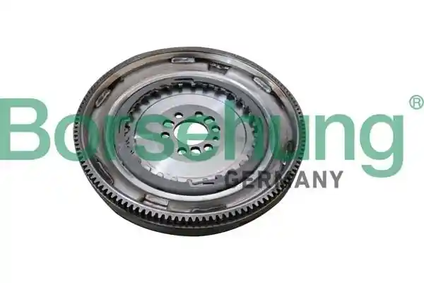 Borsehung B10918