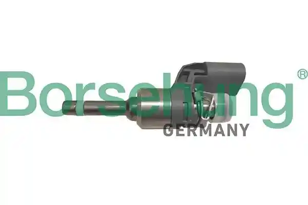 Borsehung B11172