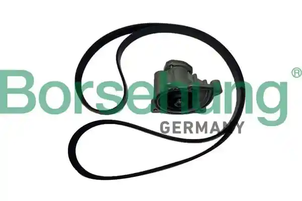 Borsehung B11215