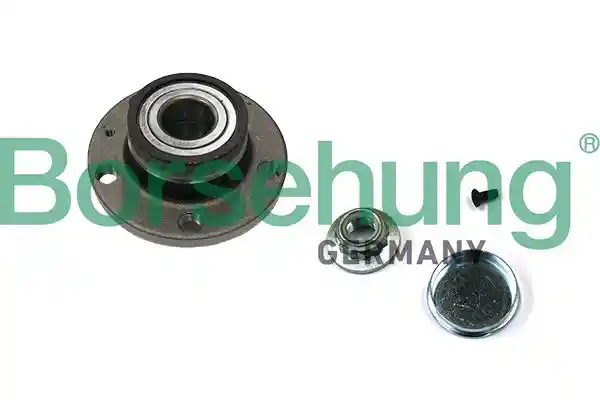 Borsehung B11289