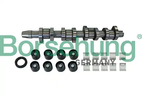Borsehung B11307