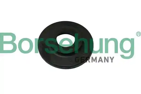 Borsehung B11365