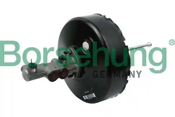 Borsehung B11386