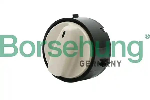Borsehung B11431