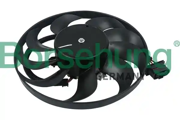 Borsehung B11494