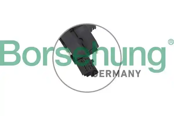 Borsehung B11606