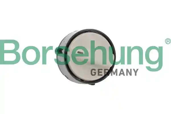 Borsehung B11607
