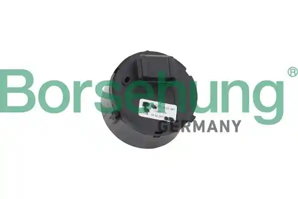 Borsehung B11607