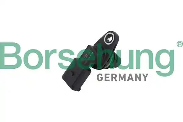 Borsehung B11859