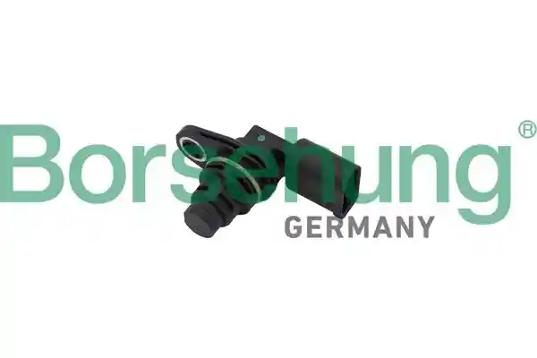 Borsehung B11859