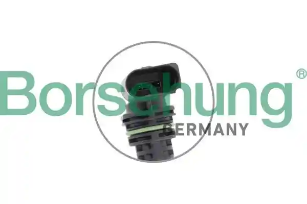 Borsehung B11859