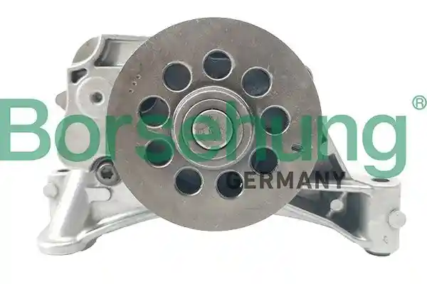 Borsehung B11908