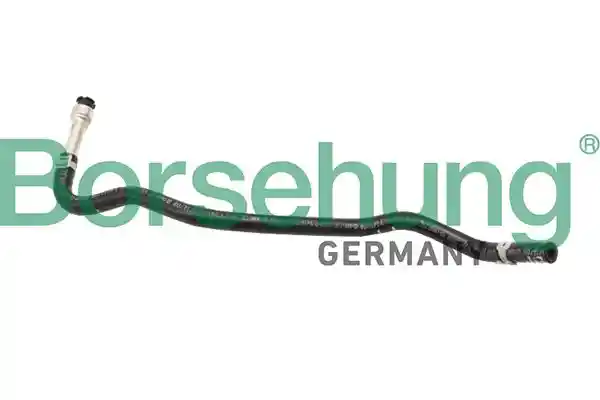 Borsehung B11968