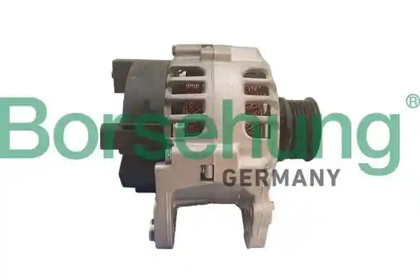 Borsehung B12038