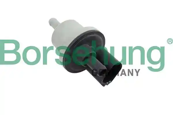 Borsehung B12188