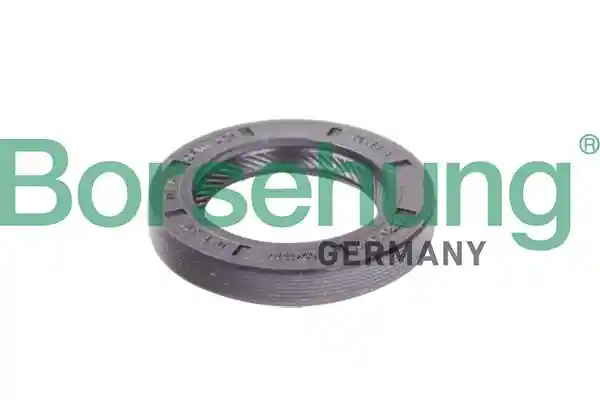 Borsehung B12191