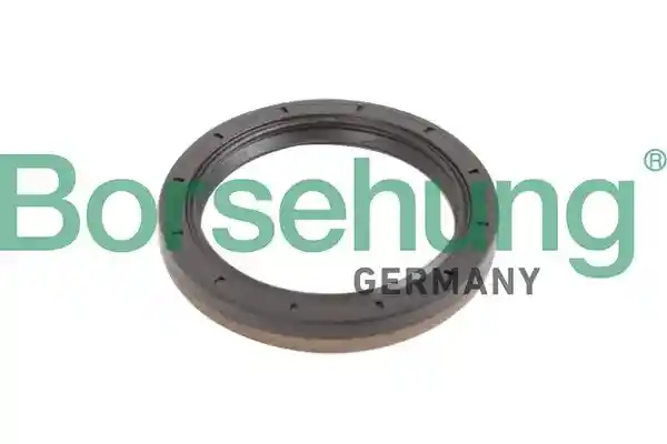 Borsehung B12193