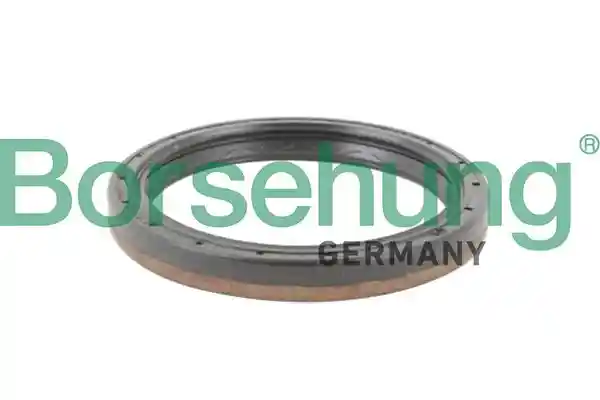 Borsehung B12198 Borsehung B12198