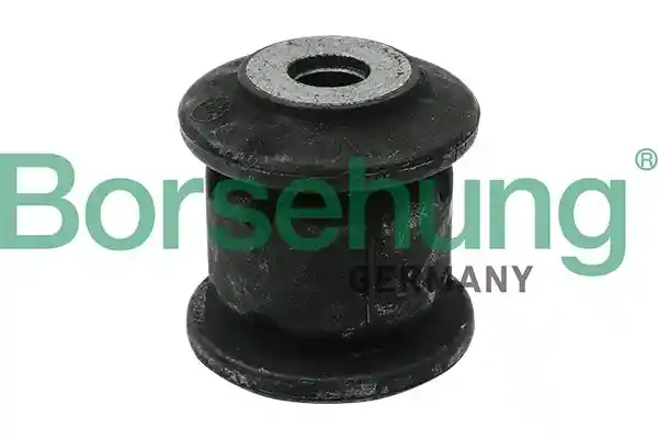 Borsehung B12229