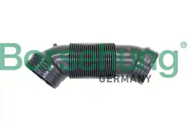 Borsehung B12324