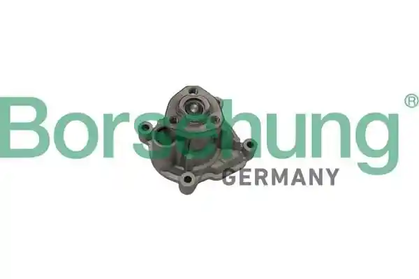 Borsehung B12696