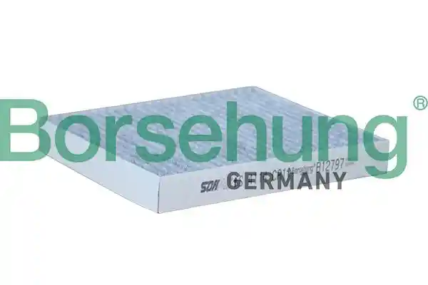 Borsehung B12797