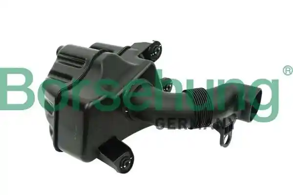 Borsehung B12830