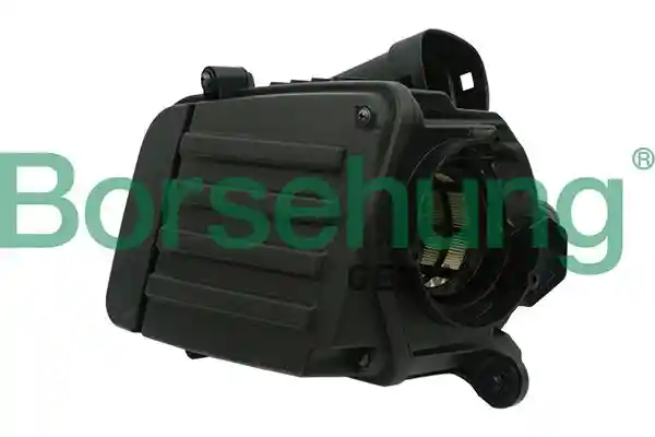 Borsehung B12845