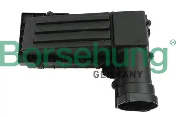 Borsehung B12846