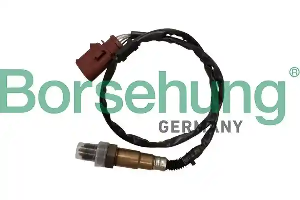 Borsehung B12861