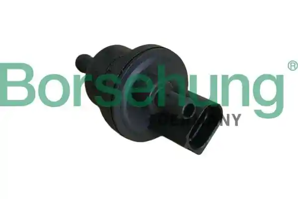 Borsehung B12932