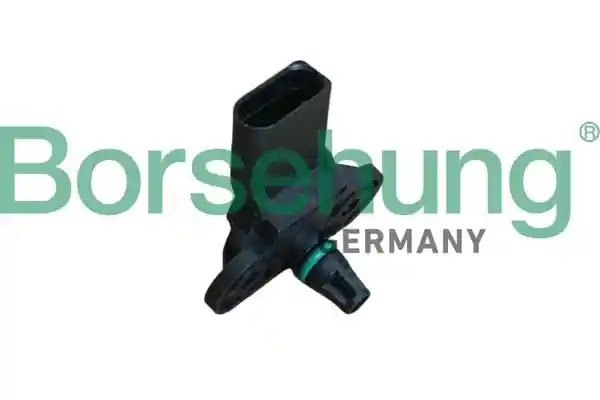 Borsehung B12935