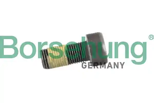 Borsehung B12950