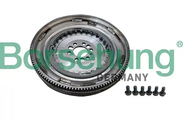 Borsehung B12998