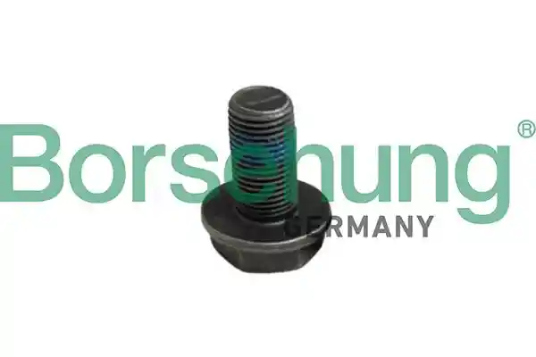 Borsehung B12999