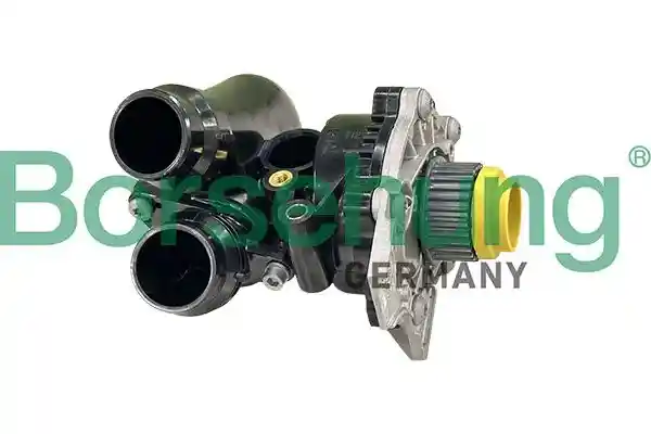 Borsehung B13223