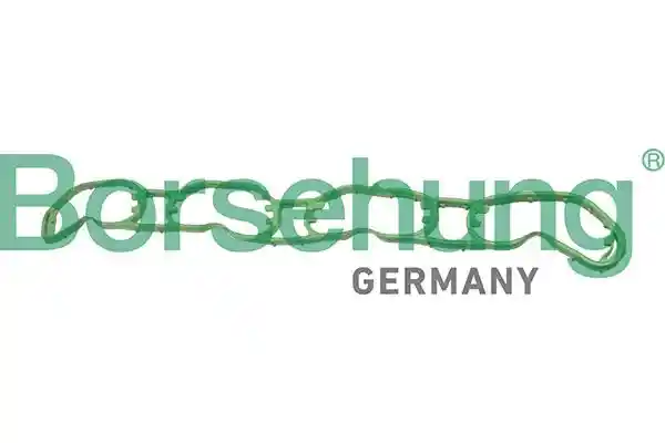 Borsehung B13261