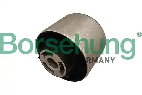 Borsehung B13367