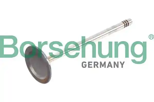 Borsehung B13373