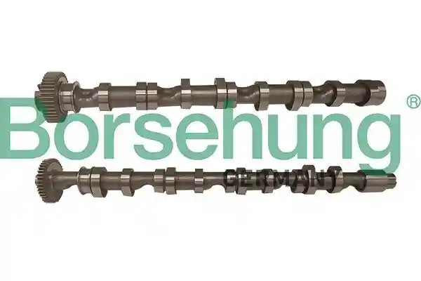 Borsehung B13451