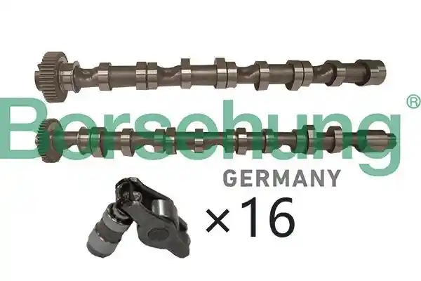 Borsehung B13452
